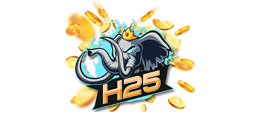 h25